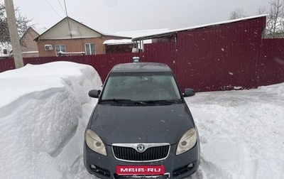 Skoda Fabia II, 2010 год, 300 000 рублей, 1 фотография