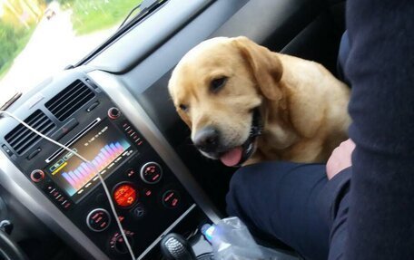 Suzuki Grand Vitara, 2008 год, 1 350 000 рублей, 8 фотография