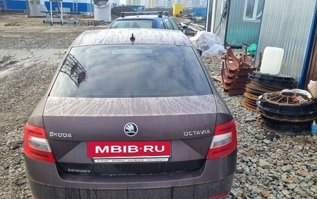 Skoda Octavia, 2019 год, 1 520 000 рублей, 3 фотография