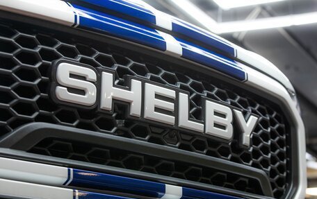 Ford F-150, 2024 год, 17 900 000 рублей, 12 фотография