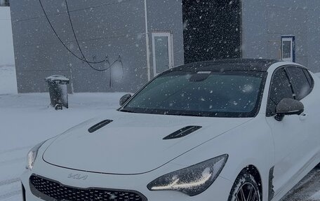 KIA Stinger I, 2022 год, 3 680 000 рублей, 4 фотография