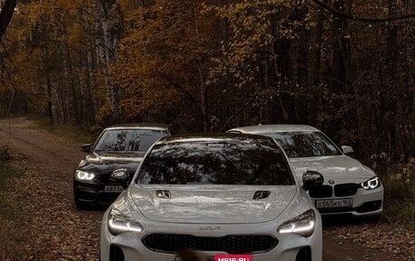 KIA Stinger I, 2022 год, 3 680 000 рублей, 5 фотография