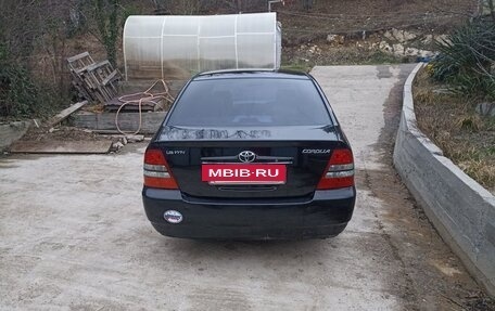 Toyota Corolla, 2003 год, 520 000 рублей, 4 фотография