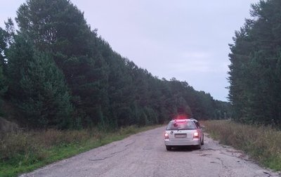 Honda Odyssey II, 1999 год, 395 000 рублей, 1 фотография