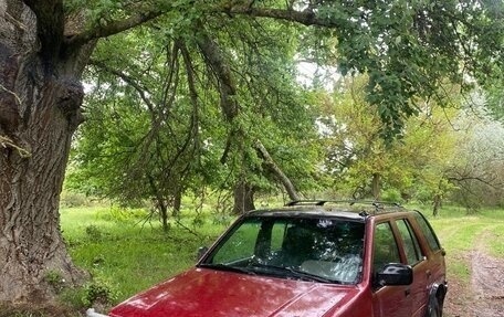 Isuzu Rodeo II, 1994 год, 250 000 рублей, 3 фотография