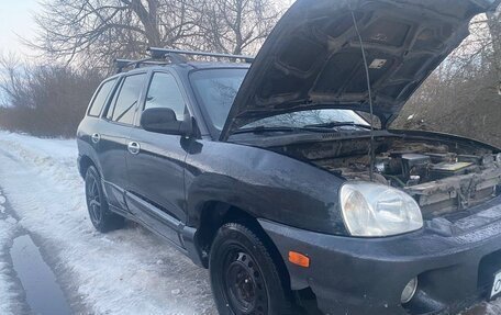 Hyundai Santa Fe III рестайлинг, 2002 год, 230 000 рублей, 2 фотография