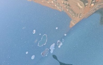 Toyota Avensis III рестайлинг, 1999 год, 550 000 рублей, 1 фотография