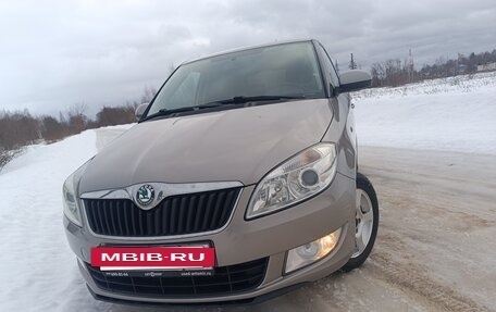 Skoda Fabia II, 2012 год, 825 000 рублей, 13 фотография