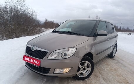 Skoda Fabia II, 2012 год, 825 000 рублей, 14 фотография
