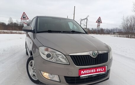 Skoda Fabia II, 2012 год, 825 000 рублей, 25 фотография