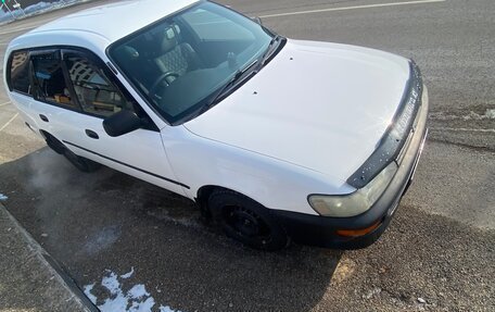 Toyota Corolla, 2001 год, 340 000 рублей, 2 фотография