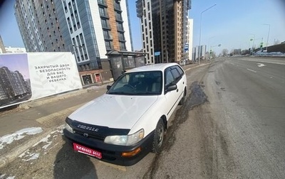 Toyota Corolla, 2001 год, 340 000 рублей, 1 фотография