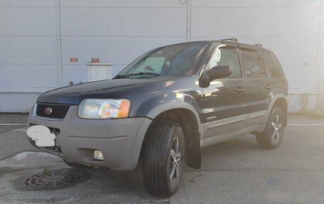 Ford Escape II, 2001 год, 370 000 рублей, 1 фотография