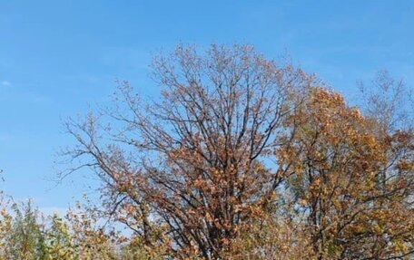 Toyota Aqua I, 2019 год, 1 100 000 рублей, 3 фотография