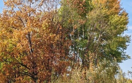 Toyota Aqua I, 2019 год, 1 100 000 рублей, 4 фотография