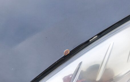 Renault Sandero I, 2013 год, 430 000 рублей, 31 фотография