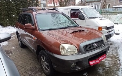 Hyundai Santa Fe III рестайлинг, 2002 год, 500 000 рублей, 1 фотография