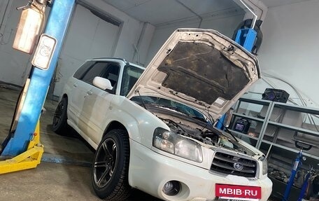 Subaru Forester, 2002 год, 550 000 рублей, 4 фотография