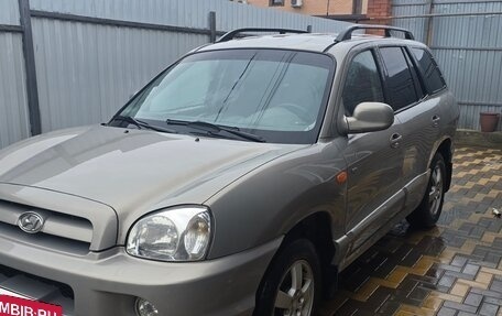 Hyundai Santa Fe Classic, 2007 год, 4 фотография