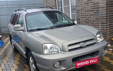 Hyundai Santa Fe Classic, 2007 год, 3 фотография