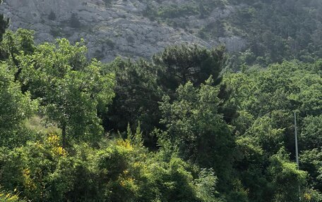 Volvo V70 III рестайлинг, 1998 год, 370 000 рублей, 1 фотография