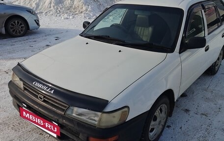 Toyota Corolla, 2002 год, 365 000 рублей, 3 фотография