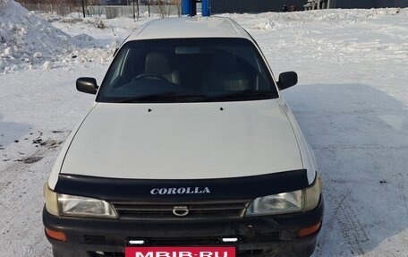Toyota Corolla, 2002 год, 365 000 рублей, 2 фотография