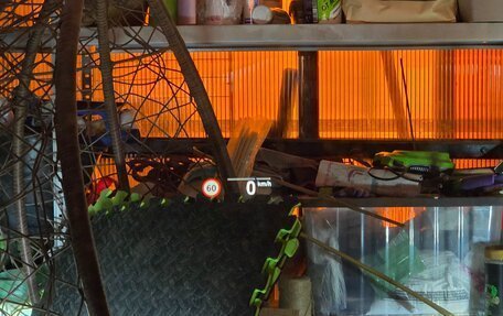 BMW X4, 2019 год, 5 800 000 рублей, 3 фотография