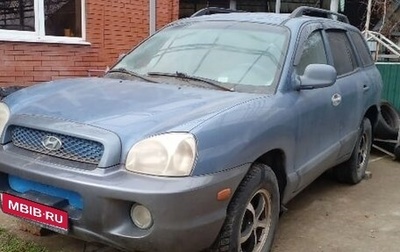 Hyundai Santa Fe III рестайлинг, 2002 год, 215 000 рублей, 1 фотография
