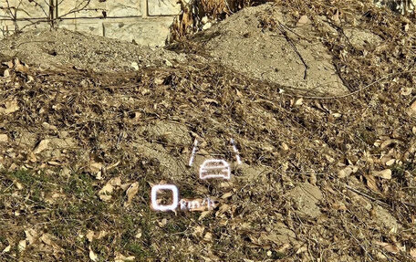 Audi A6, 2022 год, 3 888 123 рублей, 8 фотография