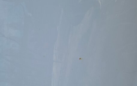 KIA Rio III рестайлинг, 2015 год, 850 000 рублей, 7 фотография