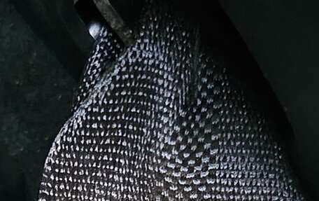 Toyota C-HR I рестайлинг, 2017 год, 1 800 000 рублей, 7 фотография