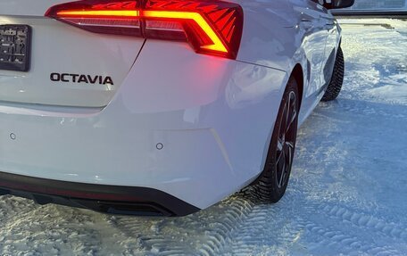 Skoda Octavia IV, 2025 год, 3 300 000 рублей, 13 фотография