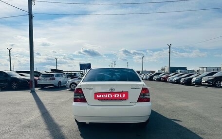 Toyota Corolla, 2003 год, 599 999 рублей, 5 фотография