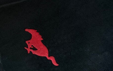 Ford Mustang VI рестайлинг, 2019 год, 3 550 000 рублей, 12 фотография