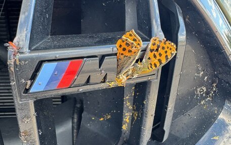 BMW M8 I (F91/F92/F93), 2022 год, 14 300 000 рублей, 19 фотография