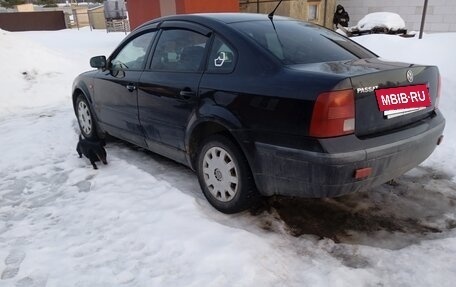 Volkswagen Passat B5+ рестайлинг, 1997 год, 225 000 рублей, 5 фотография