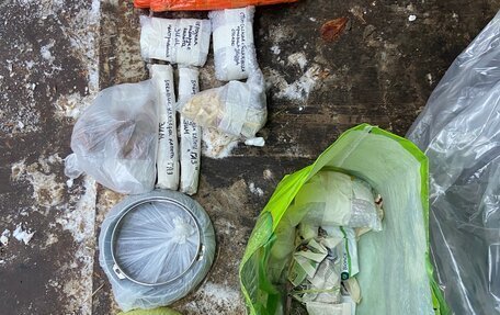 ГАЗ 12 ЗИМ, 1956 год, 1 000 000 рублей, 33 фотография