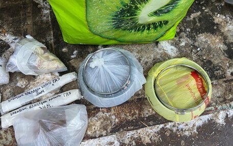 ГАЗ 12 ЗИМ, 1956 год, 1 000 000 рублей, 31 фотография