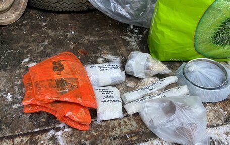 ГАЗ 12 ЗИМ, 1956 год, 1 000 000 рублей, 32 фотография