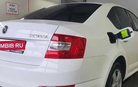 Skoda Octavia, 2013 год, 970 000 рублей, 3 фотография