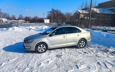 Skoda Rapid I, 2014 год, 910 000 рублей, 4 фотография