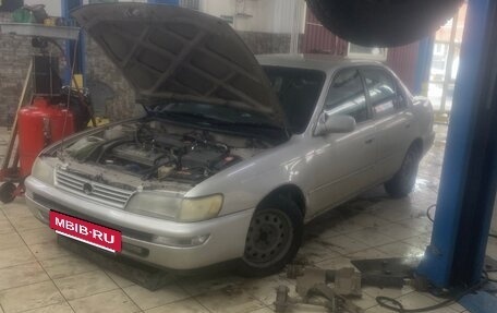 Toyota Corolla, 1994 год, 300 000 рублей, 12 фотография