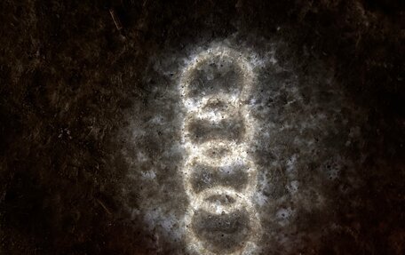 Audi Q3, 2015 год, 1 480 000 рублей, 18 фотография