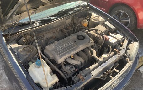 Toyota Corolla, 2001 год, 380 000 рублей, 14 фотография