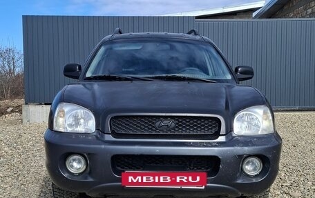 Hyundai Santa Fe III рестайлинг, 2002 год, 420 000 рублей, 7 фотография