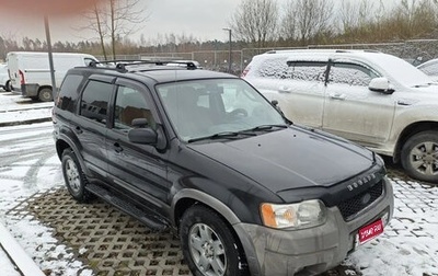 Ford Escape II, 2003 год, 440 000 рублей, 1 фотография