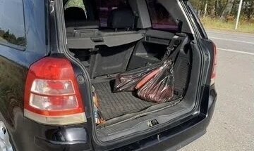 Opel Zafira B, 2008 год, 620 000 рублей, 15 фотография