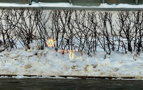 BMW 5 серия, 2018 год, 2 699 000 рублей, 29 фотография