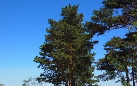 Peugeot 207 I, 2009 год, 429 000 рублей, 2 фотография